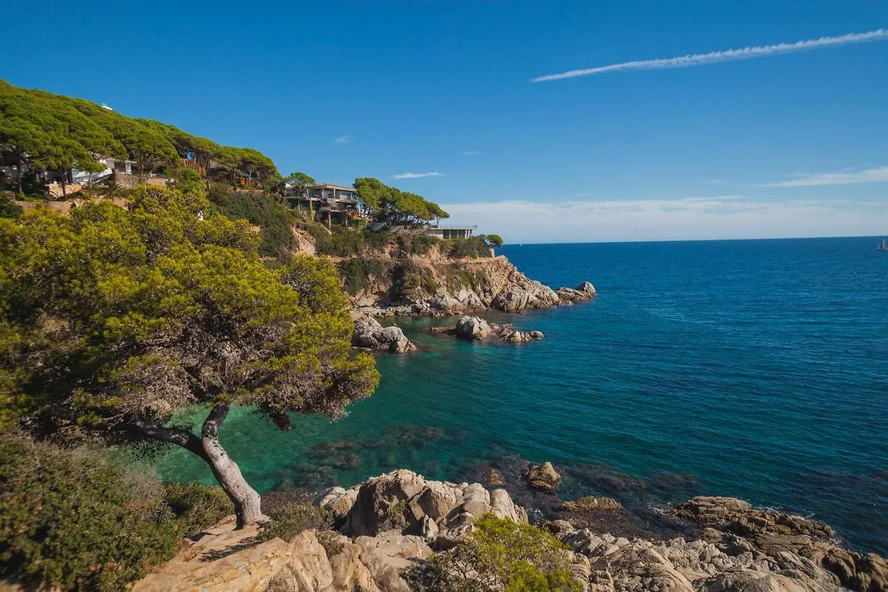 Comfortable Apartment With A Swimming Pool, 250M To The Sea. Lloret de Mar